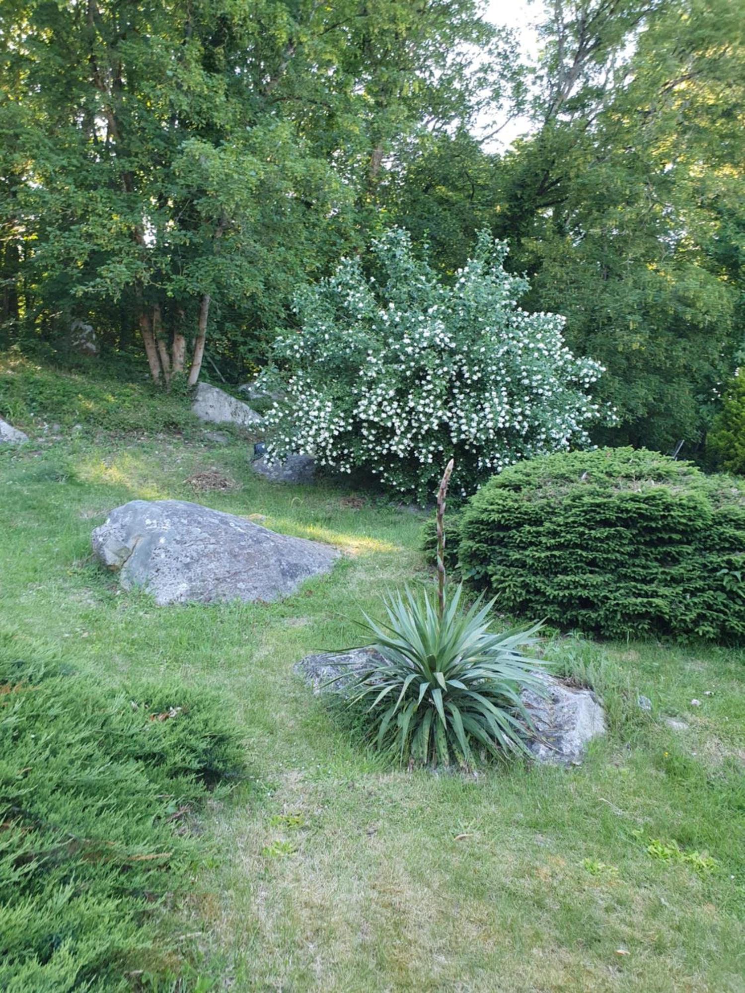 مبيت وإفطار Moigny Le Jardin Des Roches المظهر الخارجي الصورة